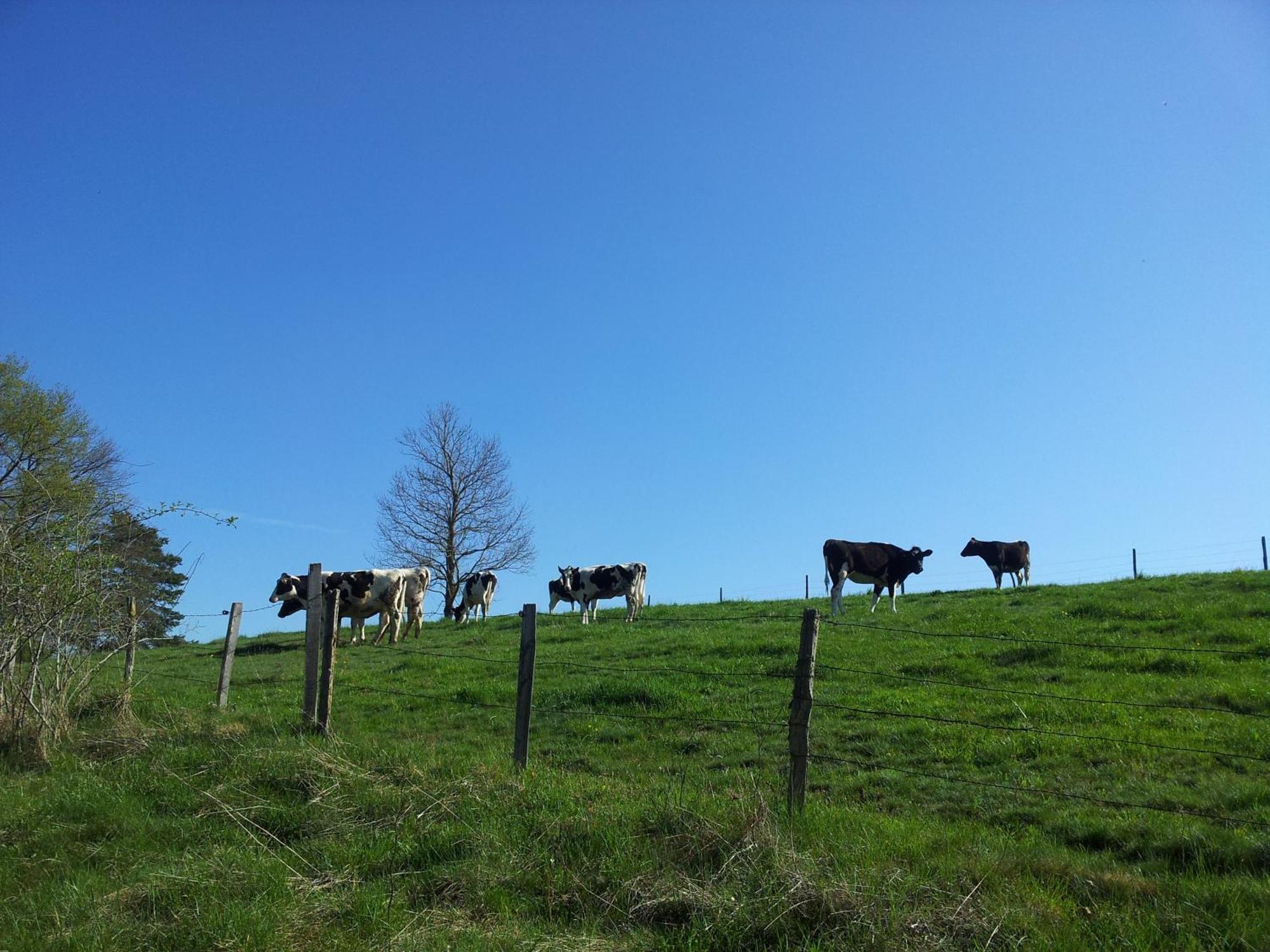 Gite La Grange De L'Effraie Beauzac Exterior foto