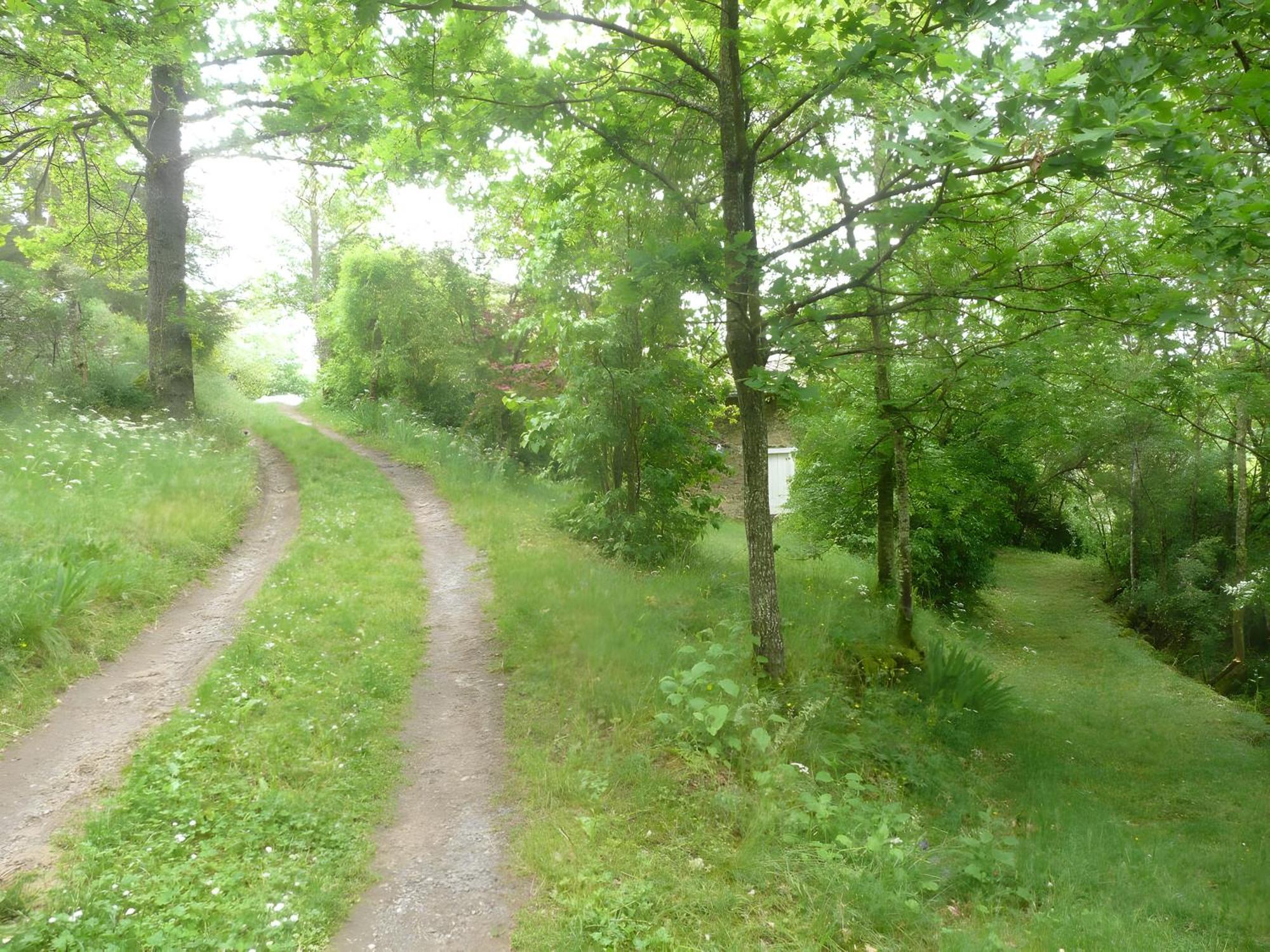 Gite La Grange De L'Effraie Beauzac Exterior foto